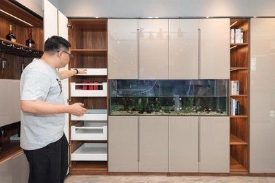 漢霸魚(yú)缸定制魚(yú)缸服務(wù)提供個(gè)性化定制魚(yú)缸服務(wù)推薦：如何選擇魚(yú)缸品牌