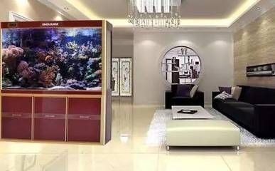 魚缸可以只放水不養魚嗎：魚缸中只放水而不添加任何魚類是可能的