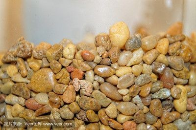 魚(yú)缸放置石頭的注意事項(xiàng)：風(fēng)水學(xué)中魚(yú)缸放石頭是否合適之前需要了解風(fēng)水學(xué)的基本原則