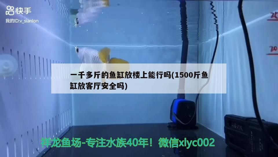 一千多斤的魚缸放樓上能行嗎(1500斤魚缸放客廳安全嗎)