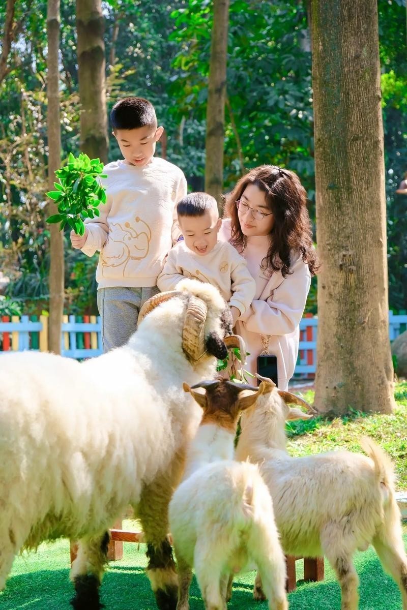 長隆野生動物園門票優惠政策