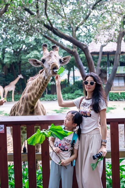 長隆野生動物園門票優惠政策