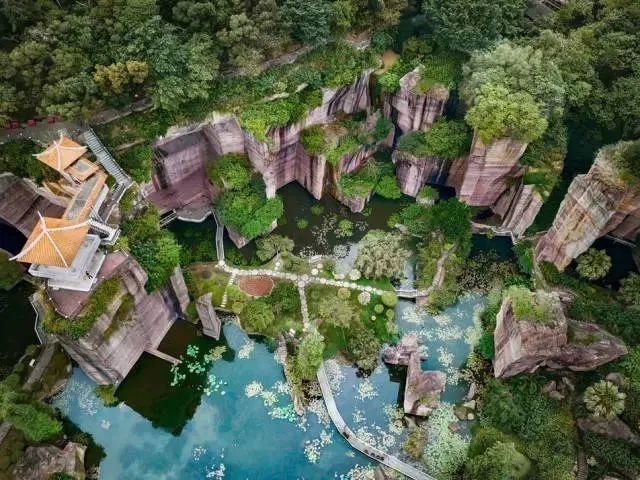 長隆野生動物園門票優惠政策