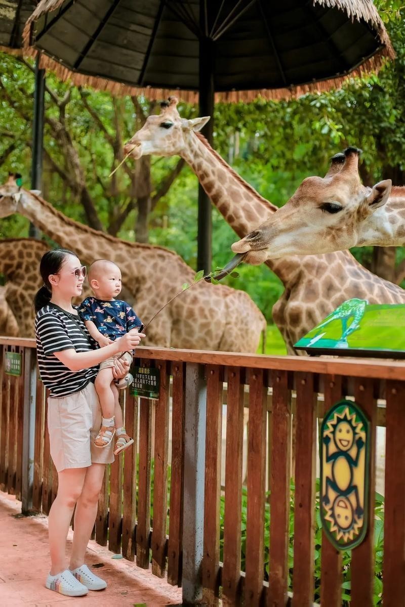長隆野生動物園門票優惠政策