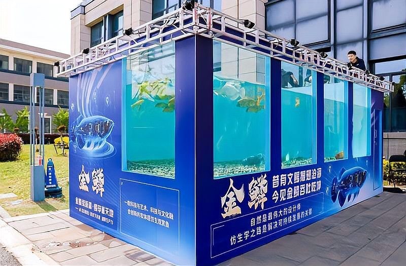中國新培育的觀賞魚新品種