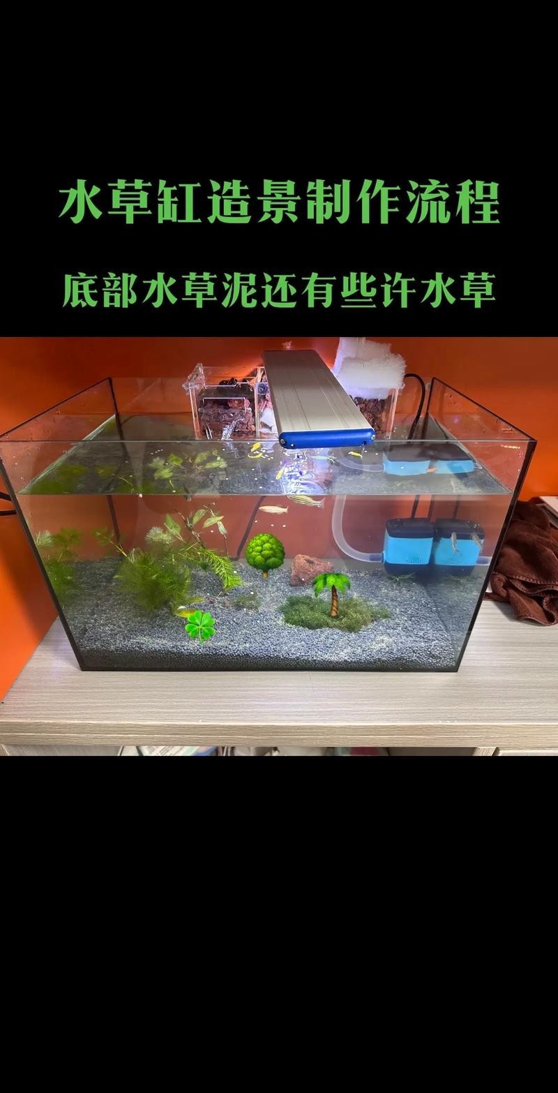 水草造景獲獎作品圖片