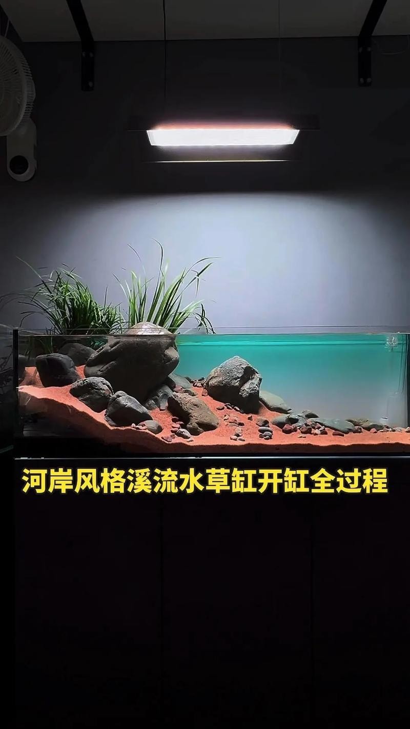 水草造景獲獎作品圖片