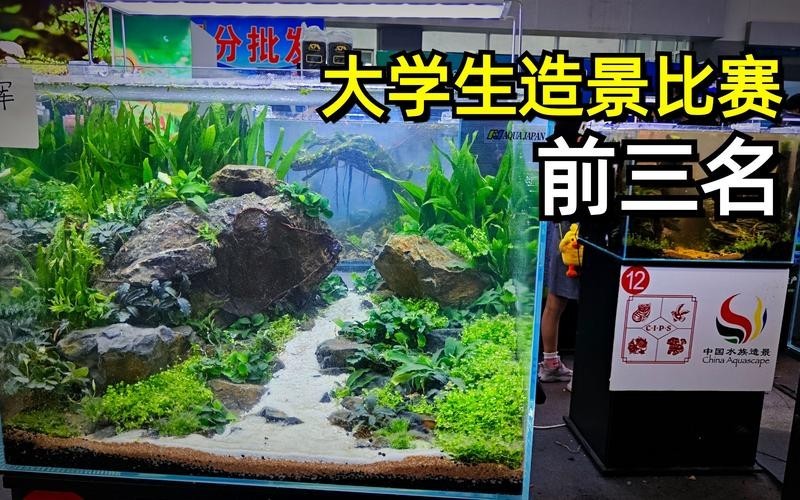 水草造景獲獎作品圖片
