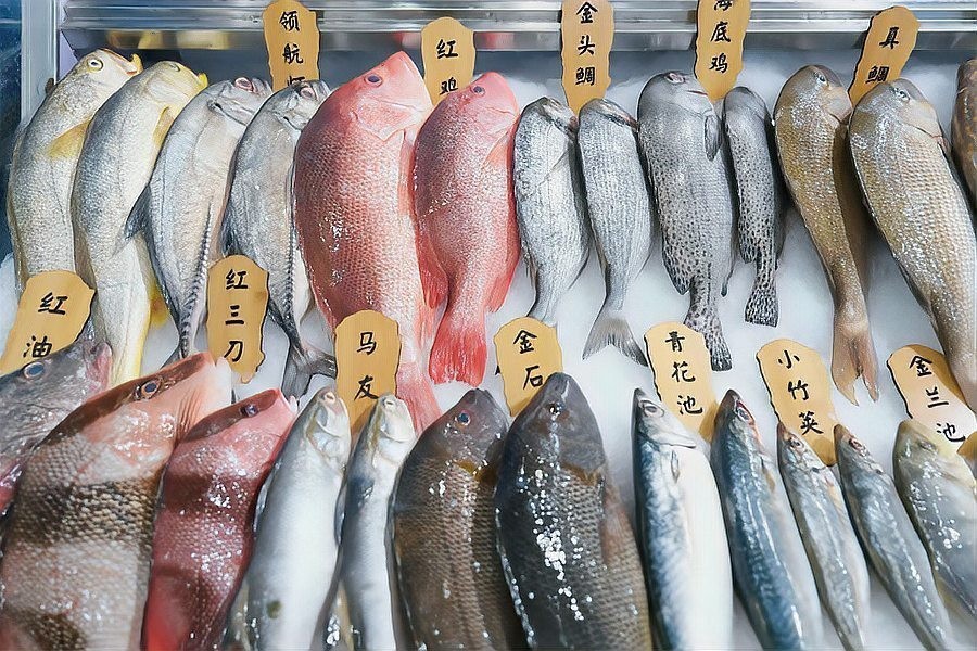 如何獲取廣州龍魚展會(huì)的最新動(dòng)態(tài)？