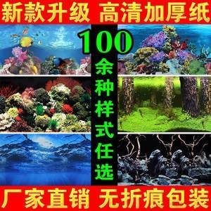 魚缸圖畫背景貼紙設(shè)計：珊瑚礁生態(tài)揭秘珊瑚礁生態(tài)揭秘珊瑚礁生態(tài)揭秘珊瑚礁生態(tài)揭秘