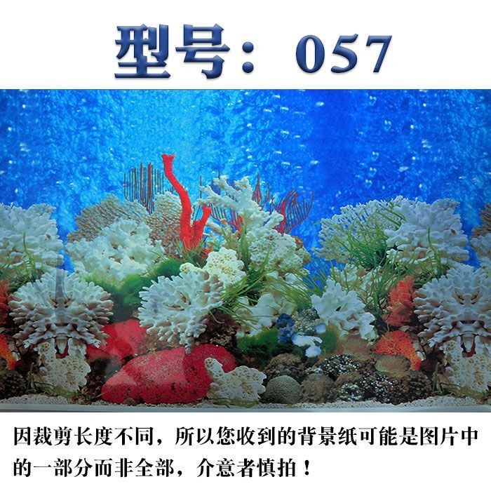 魚缸圖畫背景貼紙設(shè)計：珊瑚礁生態(tài)揭秘珊瑚礁生態(tài)揭秘珊瑚礁生態(tài)揭秘珊瑚礁生態(tài)揭秘