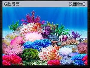 魚缸圖畫背景貼紙設(shè)計：珊瑚礁生態(tài)揭秘珊瑚礁生態(tài)揭秘珊瑚礁生態(tài)揭秘珊瑚礁生態(tài)揭秘