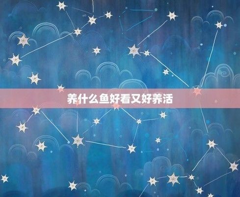 夸夸魚缸里的魚好看：夸獎(jiǎng)魚缸里魚好看的句子
