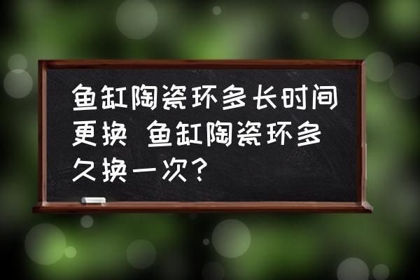 魚缸裝飾物維護周期：魚缸裝飾物的維護周期