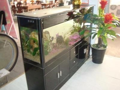 廣興水族魚缸工藝廠的使用體驗(yàn)：廣興水族魚缸工藝廠[需手動(dòng)填充]廣興水族魚缸工藝廠的使用體驗(yàn)