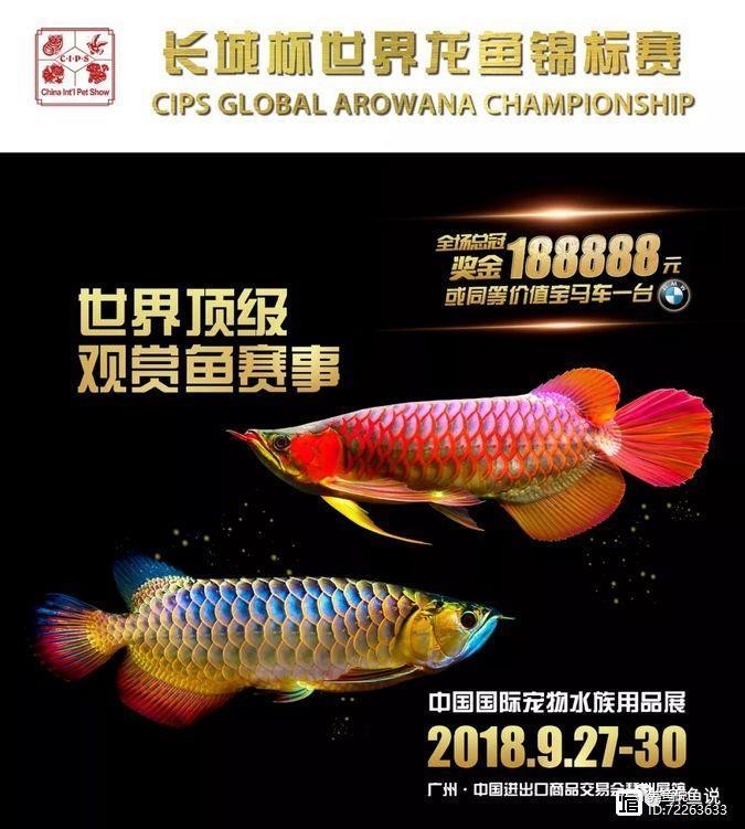 長城杯觀賞魚比賽2020冠軍獎(jiǎng)金多少錢