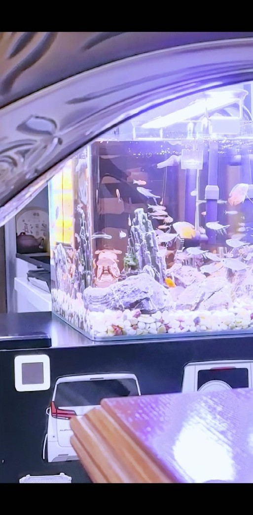 長城水族展