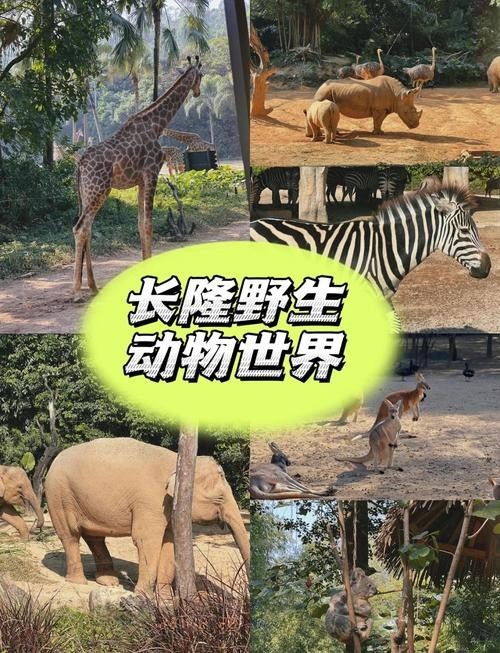 長隆門票有效期是多久？