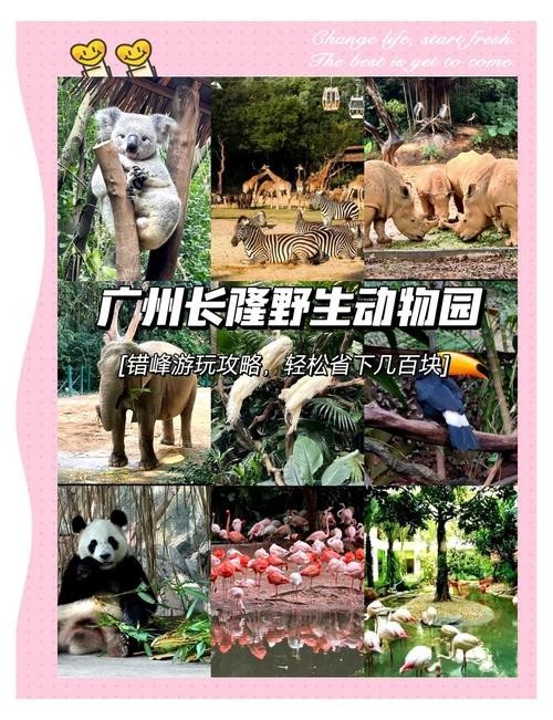長隆門票有效期是多久？