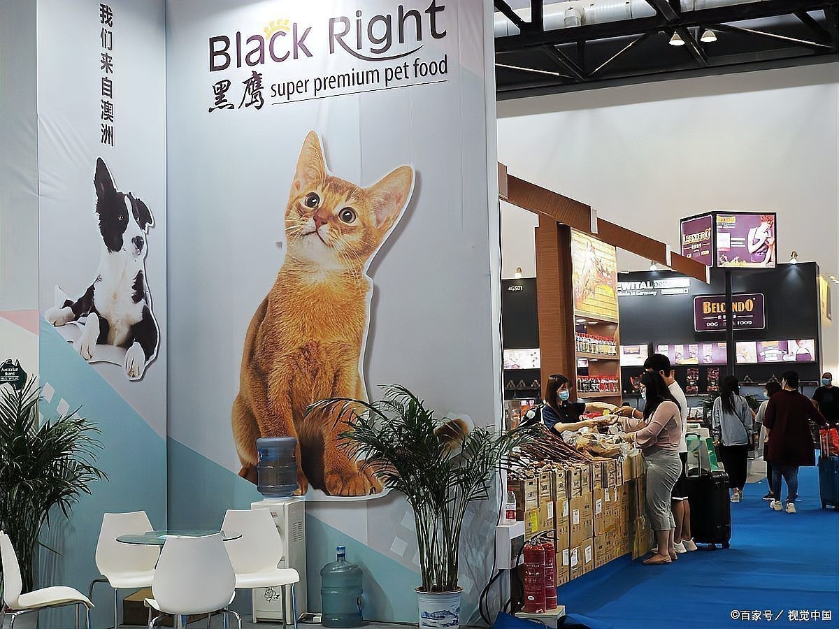 有哪些國際寵物展值得一游？