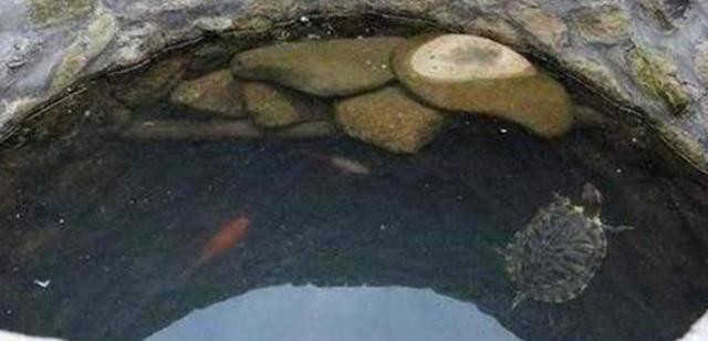 宅子地下埋龜什么意思
