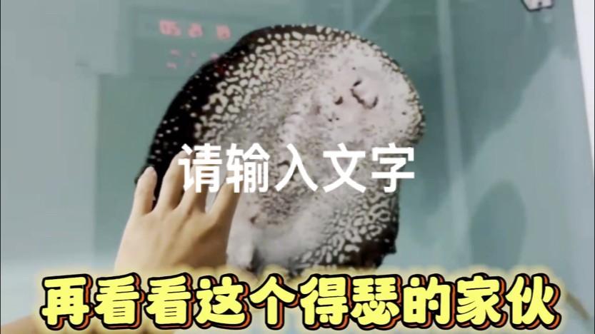 又配對成功了