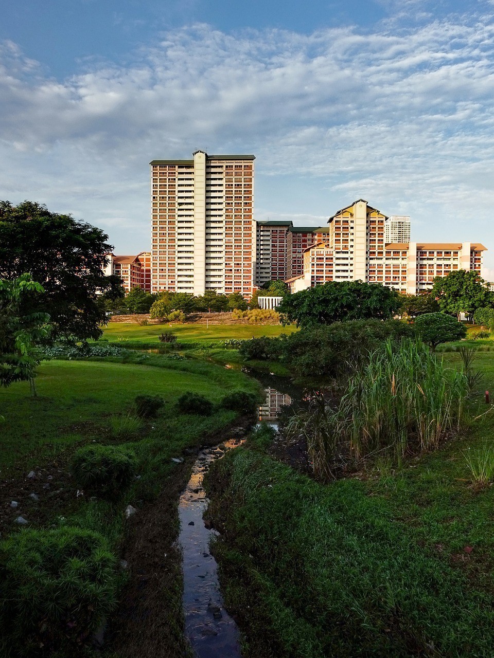 梅州市梅江區增記魚鳥雅興園