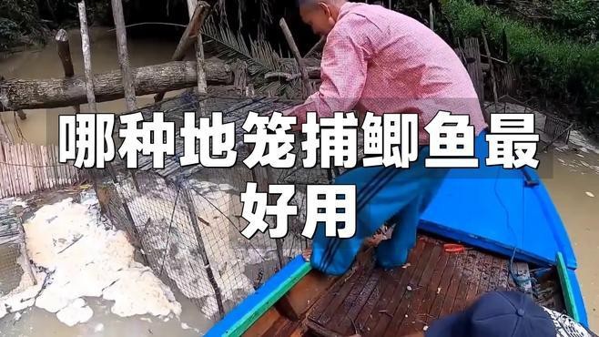 地籠好還是傘狀地籠好