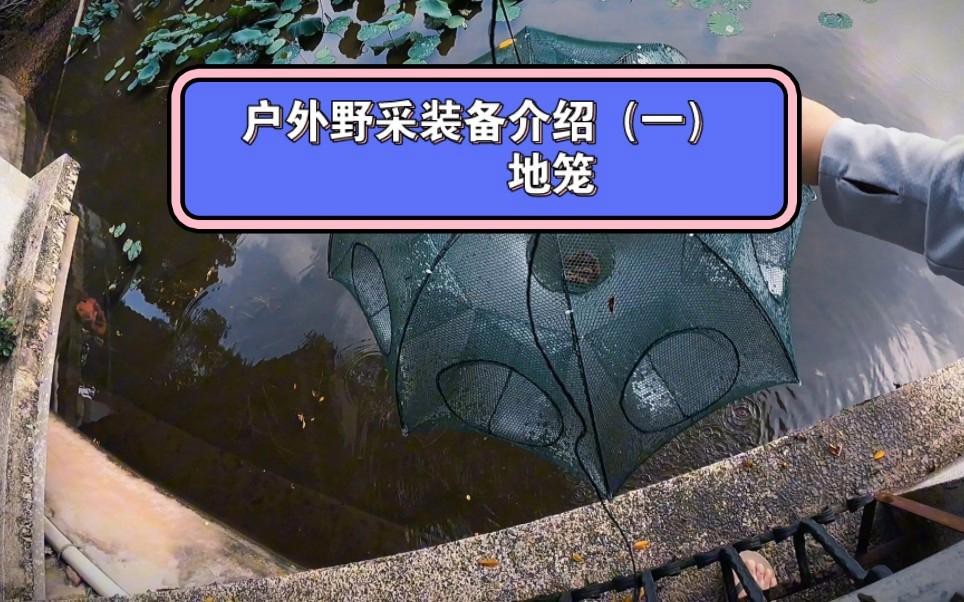 地籠好還是傘狀地籠好
