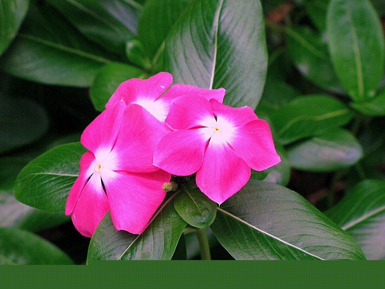 長春市南關區花樣花道鮮花店（長春市南關區花樣花道鮮花店地址）
