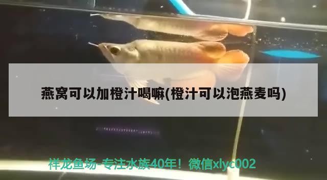 魚抽筋怎么辦？，治療魚抽筋的藥物