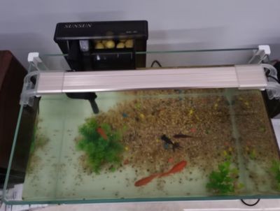 森森魚缸客服熱線24小時(shí)：森森魚缸24小時(shí)客服熱線