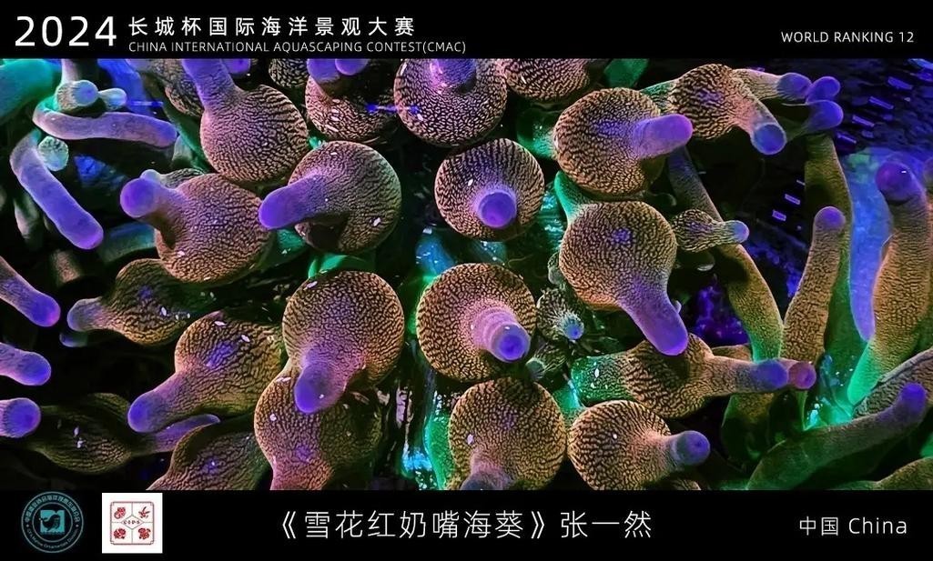 中國(guó)國(guó)際寵物水族展覽會(huì)CIPS