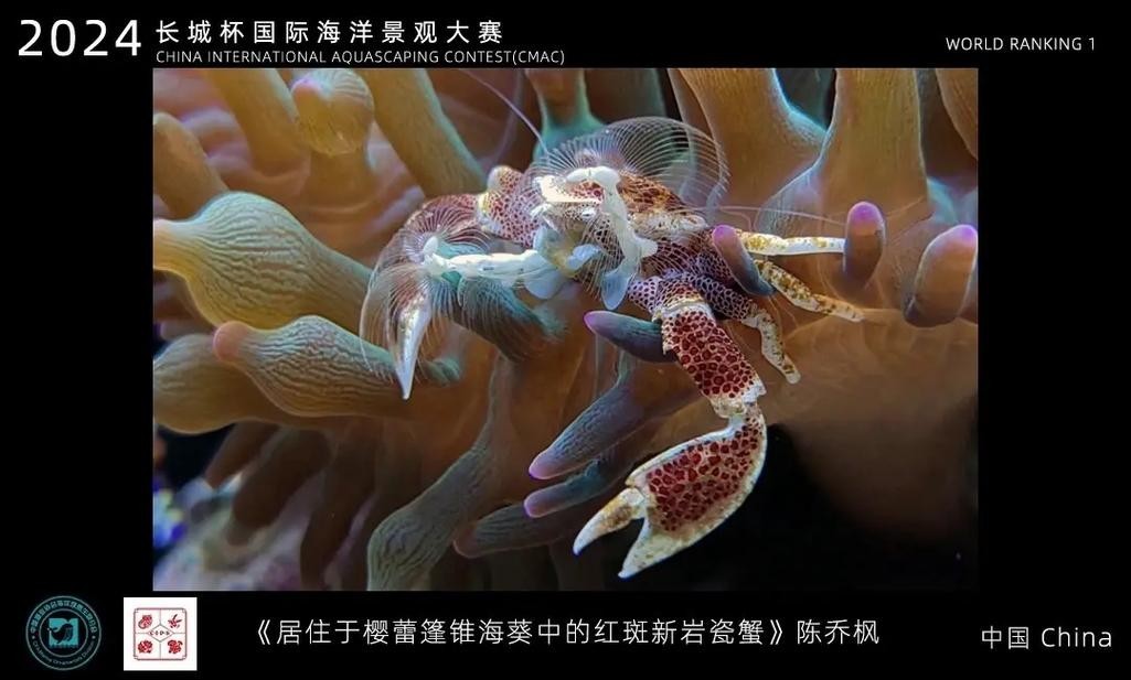 中國(guó)國(guó)際寵物水族展覽會(huì)CIPS