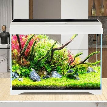 森森魚缸at500：森森魚缸at500b