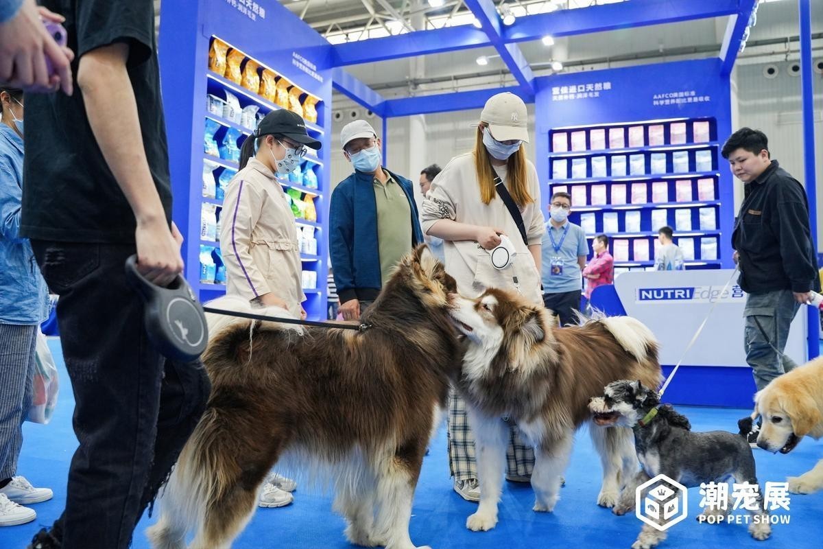 如何獲取寵物博覽會的門票？