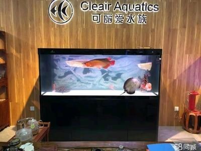 可麗愛魚缸售后維修電話24：可麗愛魚缸常見故障及解決