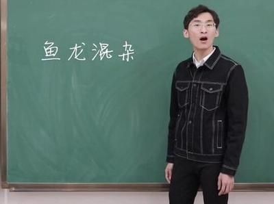 魚龍是什么動物進化而來的：“魚龍混雜”是什么意思？