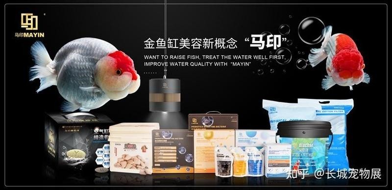 長城杯觀賞魚比賽獲獎名單