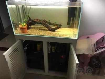 底濾魚缸造景的步驟和注意事項：底濾魚缸造景步驟及注意事項