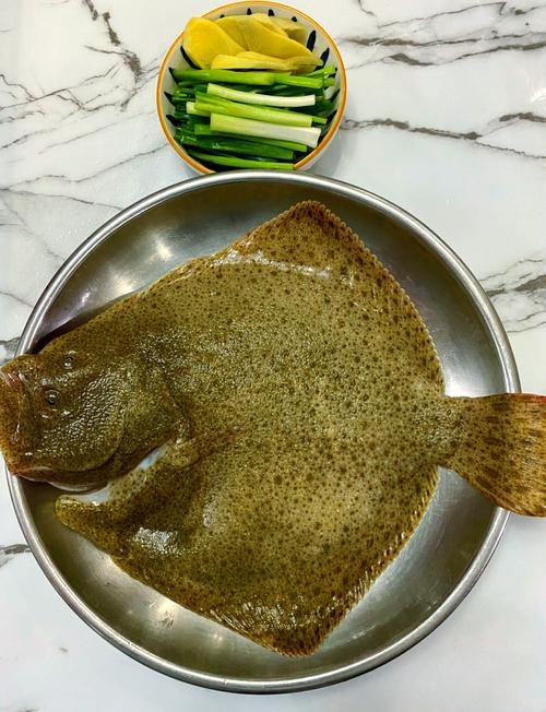 多寶魚長啥樣圖片