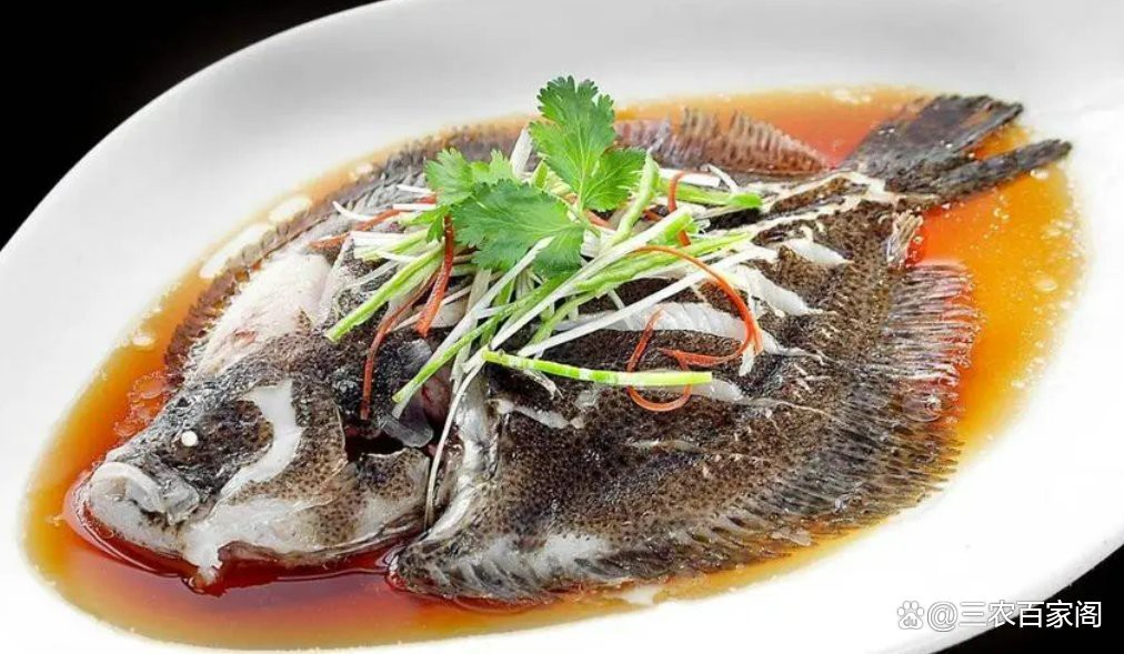 多寶魚長啥樣圖片