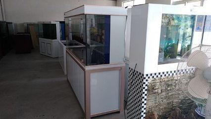 水鴨1.8米龍缸過濾曹簡易版的