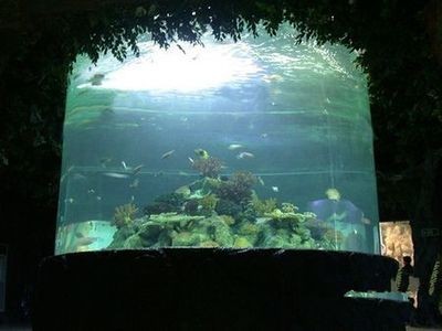 水鴨1.8米龍缸過濾曹簡易版的
