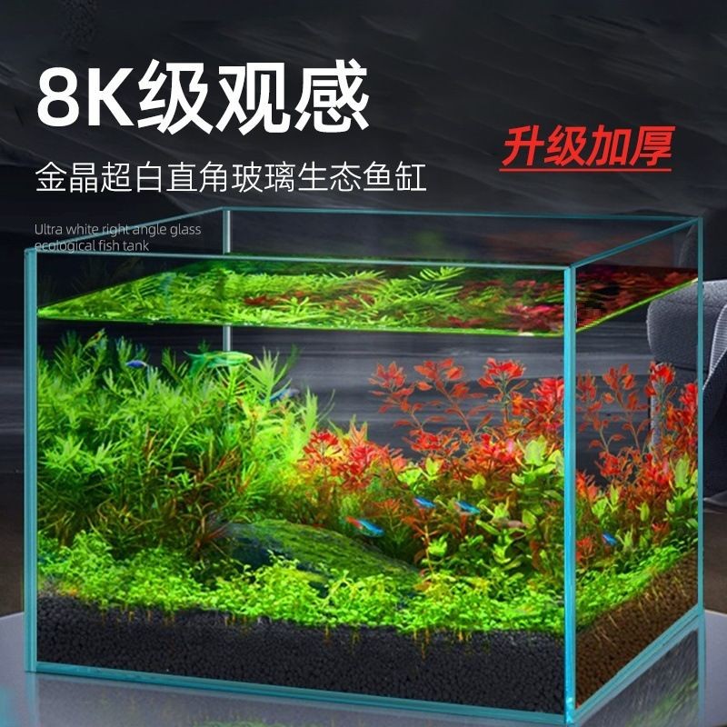 金晶魚缸是什么意思：玻璃家族中的水晶王子——金晶魚缸