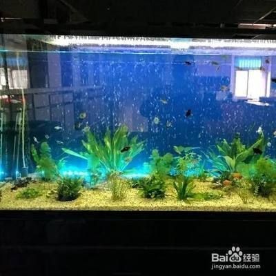 普蘭店區鑫新魚缸定制店（普蘭店區鑫新魚缸定制店地址）