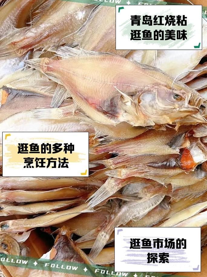 逛魚圖片大全