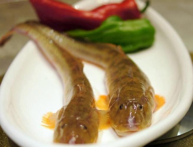 逛魚圖片大全