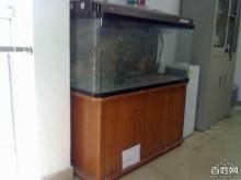 佳寶魚缸哪里產的好：佳寶魚缸怎么樣