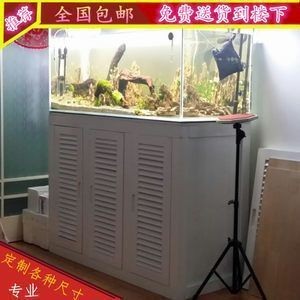混養(yǎng)魚缸空間布局建議：混養(yǎng)魚缸設(shè)計建議
